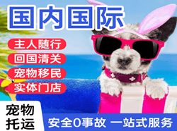 芒市机场快运国际宠物托运 【国